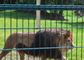 নন-রাস্টিং ঢালাই ইস্পাত তারের জাল চিড়িয়াখানা প্রাণী ঘের তারের জাল 10m-30m