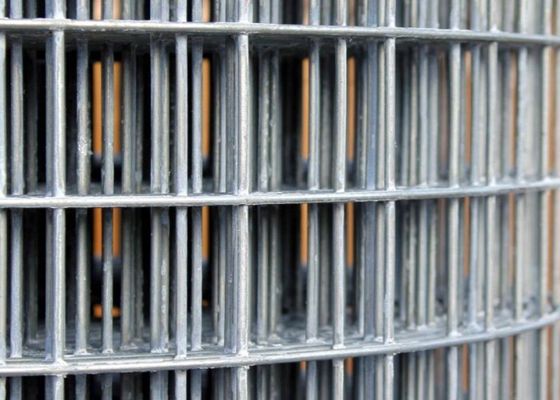 50X50 গ্যালভানাইজড ওয়েল্ডেড ওয়্যার মেশ রোলস 6 ফুট তারের বেড়া রোল অ্যাব্রেশন প্রুফ