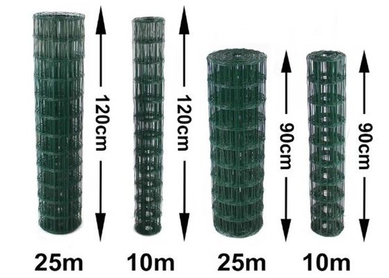 ক্ষয় প্রতিরোধী পিভিসি লেপা ঝালাই তারের জাল 0.5mm-6.0mm তারের ব্যাসার্ধ সঙ্গে